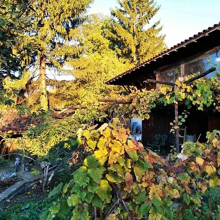 Momka's House Jeravna